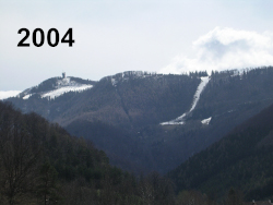 2004