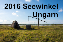 2016 Seewinkel Ungarn